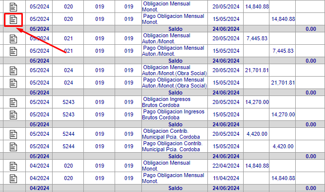 consultar detalle de pago afip