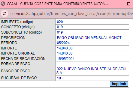 detalle de pago afip consultar