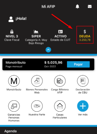 consultar saldo app afip