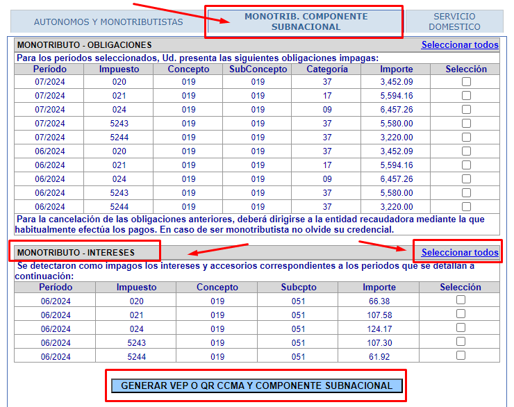 pagar intereses por deuda de monotributo