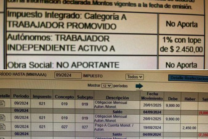 cuanto pago de monotributo promovido