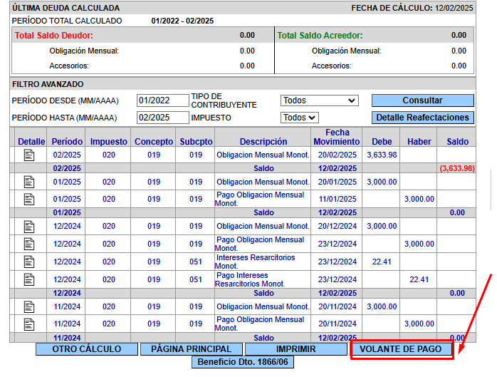volante de pago deuda monotributo promovido